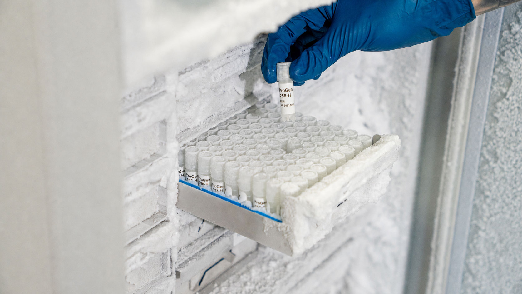 Regenicel Aesthetics Preserved at −80°C. Verified before release. Shipped overnight on dry ice.